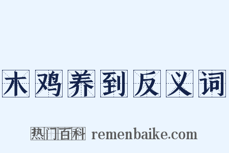 木鸡养到反义词是什么意思的图片